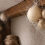 घर में छिपे हैं मकड़ी के अंडे? पहचानें ये खास निशान, नहीं तो हो जाएंगे हैरान!